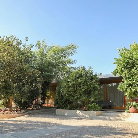 Quintinha Das Laranjeiras Santa Cruz do Douro Εξωτερικό φωτογραφία