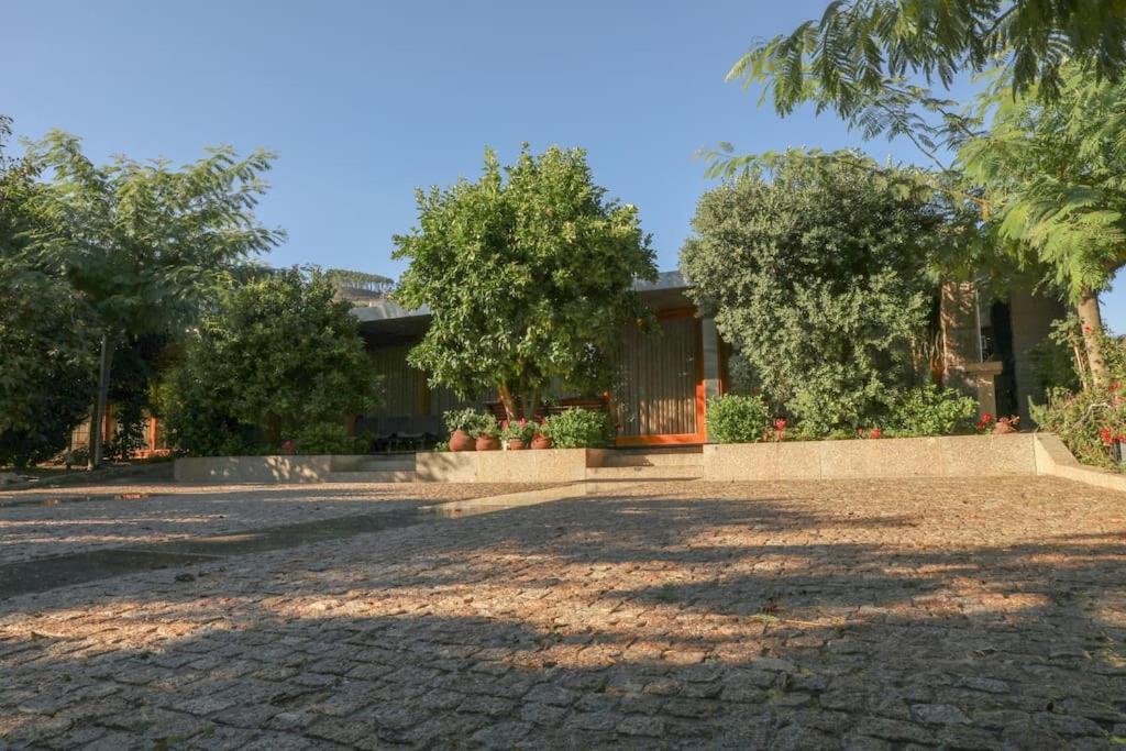 Quintinha Das Laranjeiras Santa Cruz do Douro Εξωτερικό φωτογραφία